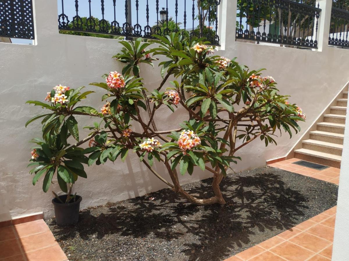 Punta Negra Apartment Puerto de Santiago  Luaran gambar